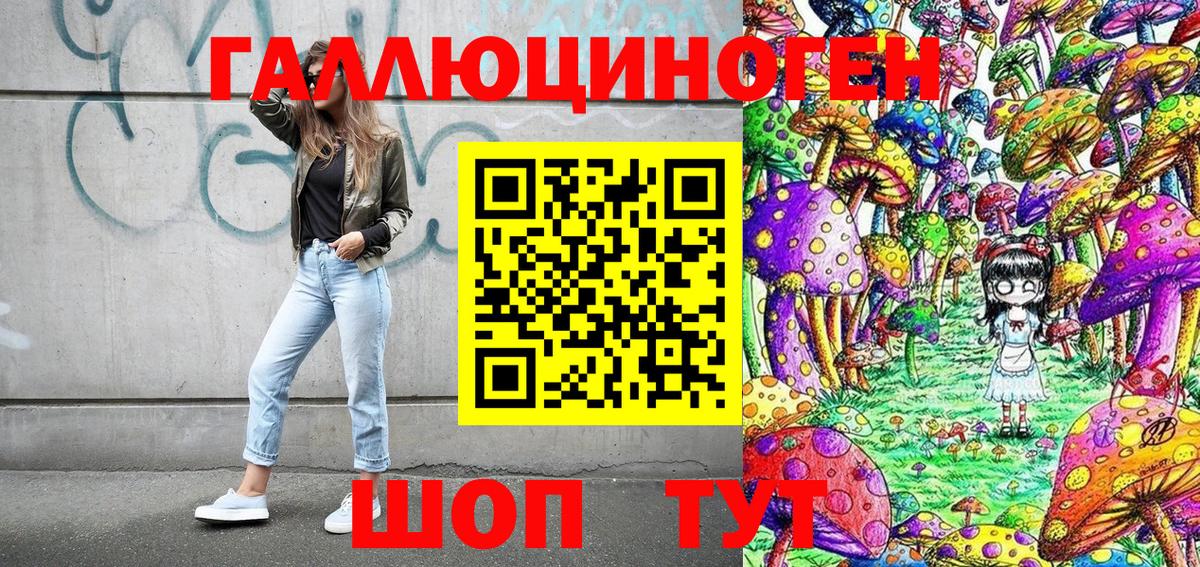 купить наркотики цена  Псилоцибиновые грибы мицелий  Вход с VPN  Гурьевск 